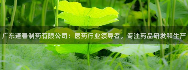 九游会老哥俱乐部论坛版：广东逢春制药有限公司：医药行业领导者，专注药品研发和生产