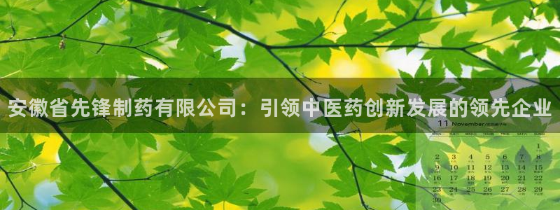 ag九游老哥俱乐部：安徽省先锋制药有限公司：引领中医药创新发展的领先企业