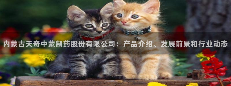 九游会老哥俱乐部：内蒙古天奇中蒙制药股份有限公司：产品介绍、发展前景和行业动态