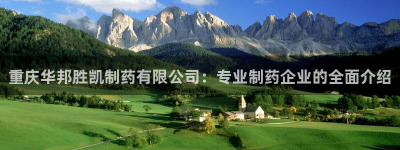九游会老哥俱乐部官网首页：重庆华邦胜凯制药有限公司：专业制药企业的全面介绍