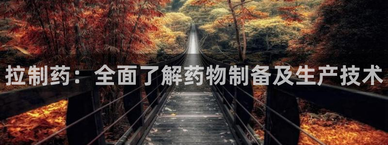 ag九游会老哥：拉制药：全面了解药物制备及生产技术