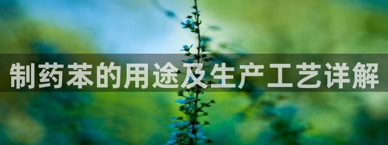 9游会老哥俱乐部：制药苯的用途及生产工艺详解
