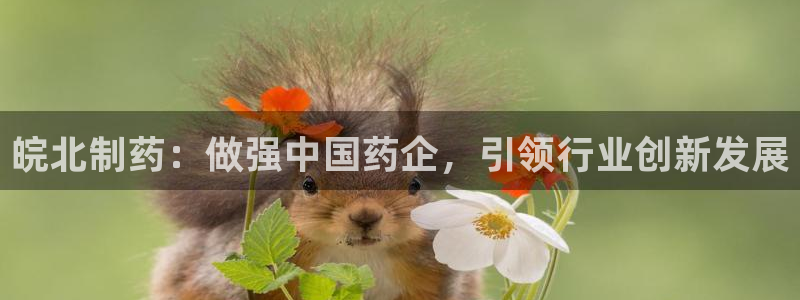 九游会老哥俱乐部必备的交流社区：皖北制药：做强中国药企，引领行业创新发展