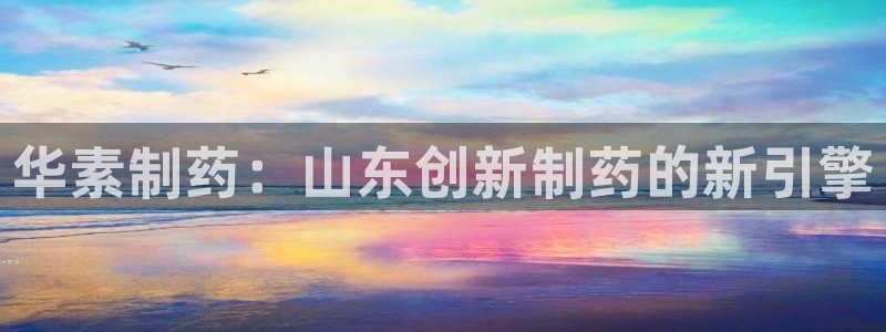 老哥吧九游会下架吗：华素制药：山东创新制药的新引擎
