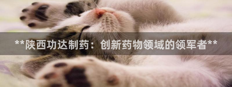 九游会老哥俱乐部官网：**陕西功达制药：创新药物领域的领军者**