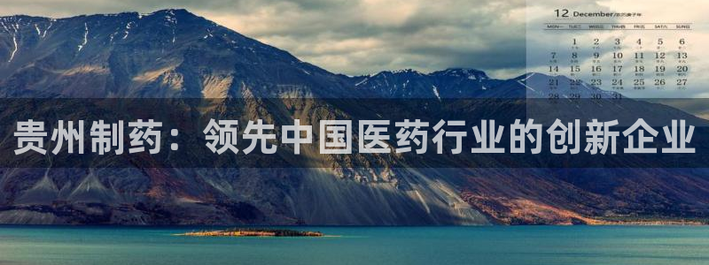 九游会老哥俱乐部官网首页论坛：贵州制药：领先中国医药行业的创新企业