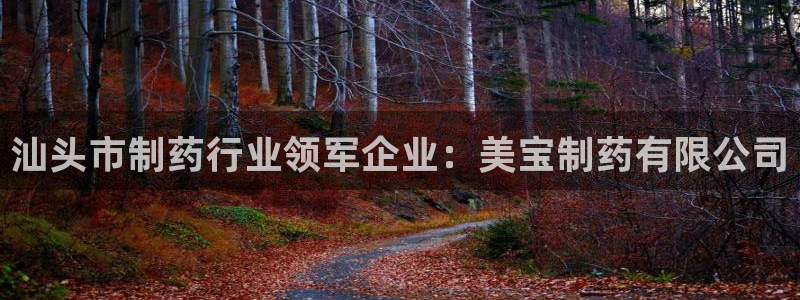 九游会老哥俱乐部官网首页论坛：汕头市制药行业领军企业：美宝制药有限公司