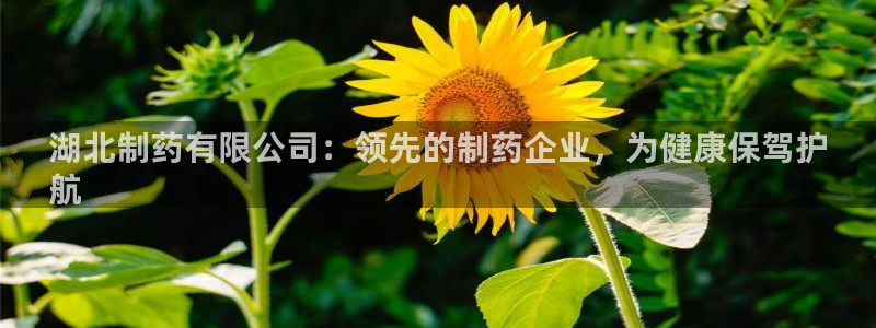 九游会老哥必备的交流社区九：湖北制药有限公司：领先的制药企业，为健康保驾护
航