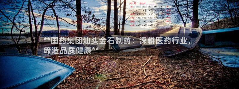 九游会老哥俱乐部：**国药集团汕头金石制药：深耕医药行业，
缔造品质健康**
