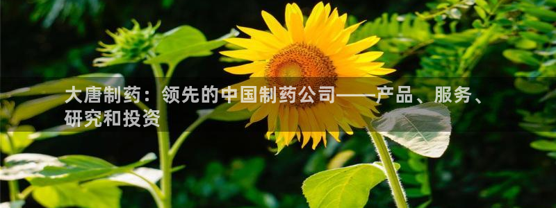 九游会老哥俱乐部论坛版：大唐制药：领先的中国制药公司——产品、服务、
研究和投资