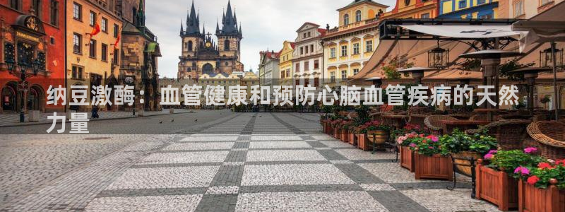 9游会老哥：纳豆激酶：血管健康和预防心脑血管疾病的天然
力量