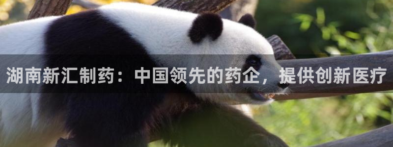 j9九游会老哥俱乐部交流区