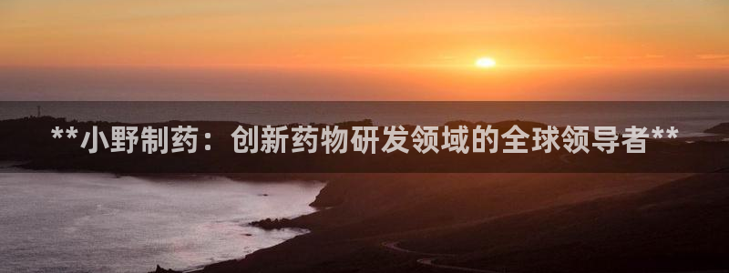 九游老哥俱乐部登录：**小野制药：创新药物研发领域的全球领导者**