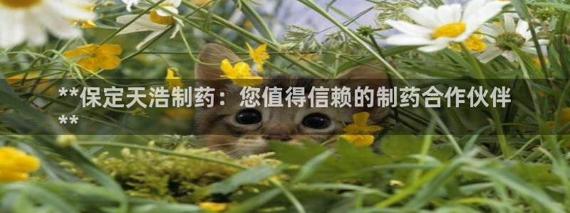 九游会老哥俱乐部必备的交流社区论坛：**保定天浩制药：您值得信赖的制药合作伙伴
**