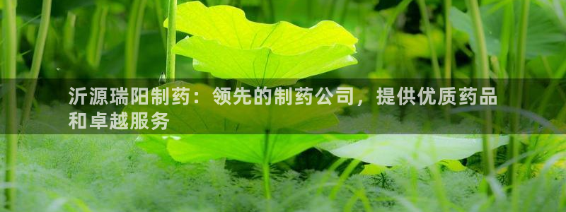 ag九游会老哥俱乐部：沂源瑞阳制药：领先的制药公司，提供优质药品
和卓越服务