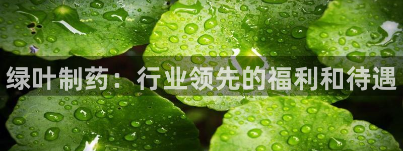 九游会老哥必备的交流社区九