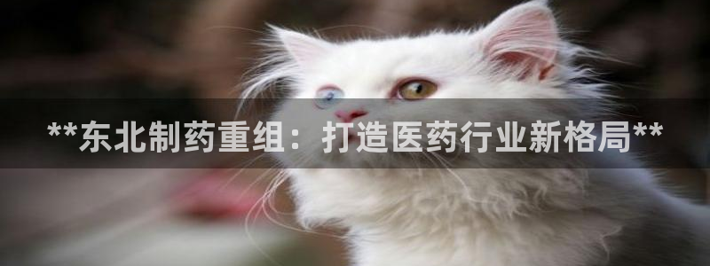 老哥吧九游会