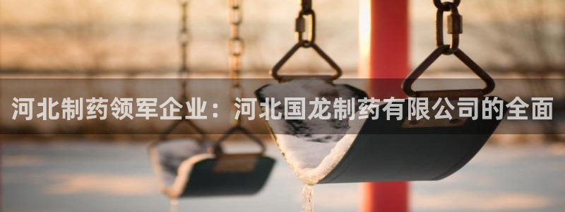 九游会老哥俱乐部官方网站：河北制药领军企业：河北国龙制药有限公司的全面