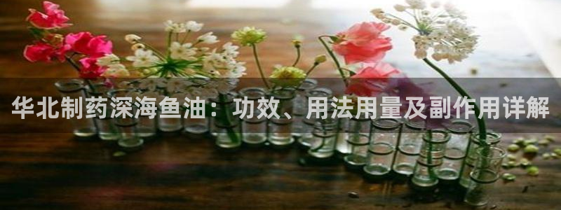 usdt九游会老哥俱乐部