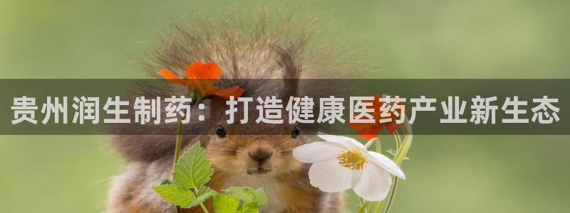 九游会老哥俱乐部官网首页论坛