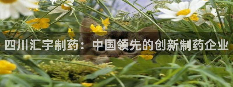 九游会老哥俱乐部社区论坛：四川汇宇制药：中国领先的创新制药企业