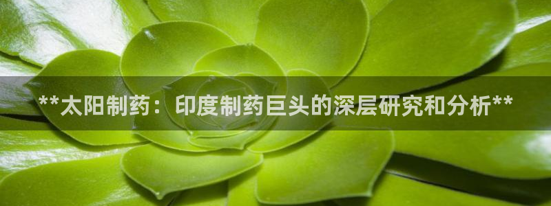ag九游会老哥俱乐部：**太阳制药：印度制药巨头的深层研究和分析**