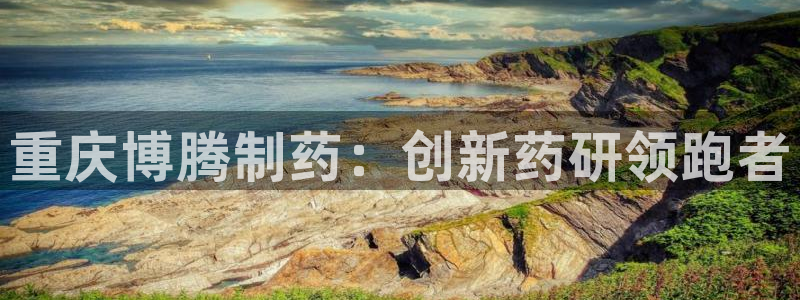 九游会老哥俱乐部官网首页：重庆博腾制药：创新药研领跑者