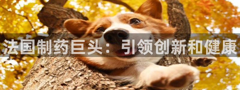 老哥吧九游会：法国制药巨头：引领创新和健康