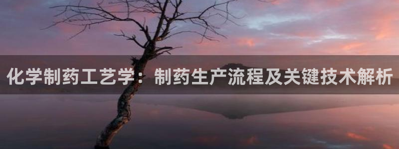 九游会老哥俱乐部论坛版：化学制药工艺学：制药生产流程及关键技术解析