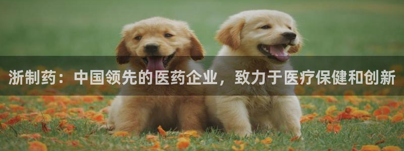 ag九游会老哥俱乐部：浙制药：中国领先的医药企业，致力于医疗保健和创新