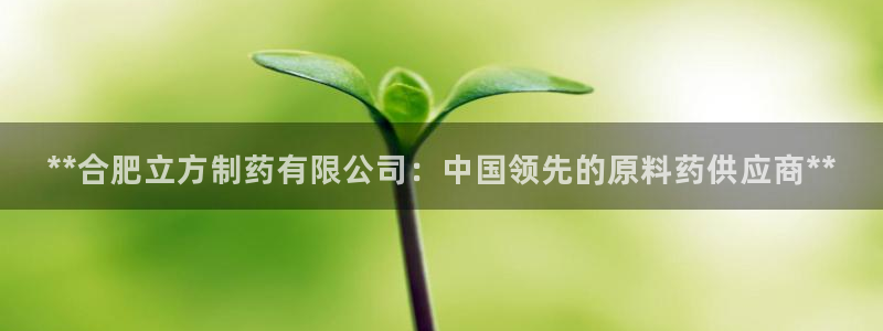 九游会老哥俱乐部社区论坛：**合肥立方制药有限公司：中国领先的原料药供应商**