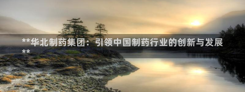 ag九游老哥俱乐部：**华北制药集团：引领中国制药行业的创新与发展
**