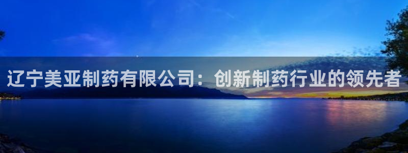 老哥俱乐部是干什么的：辽宁美亚制药有限公司：创新制药行业的领先者