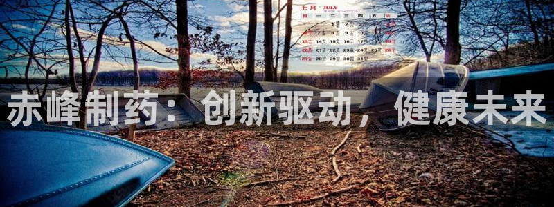 九游会老哥必备的交流社区九：赤峰制药：创新驱动，健康未来